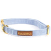 Halsband Gestreift Babyblau - KiezDogs