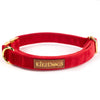 Halsband aus Samt Rot - KiezDogs