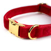 Halsband aus Samt Rot - KiezDogs