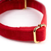 Halsband aus Samt Rot - KiezDogs