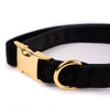 Halsband Samt Schwarz - KiezDogs